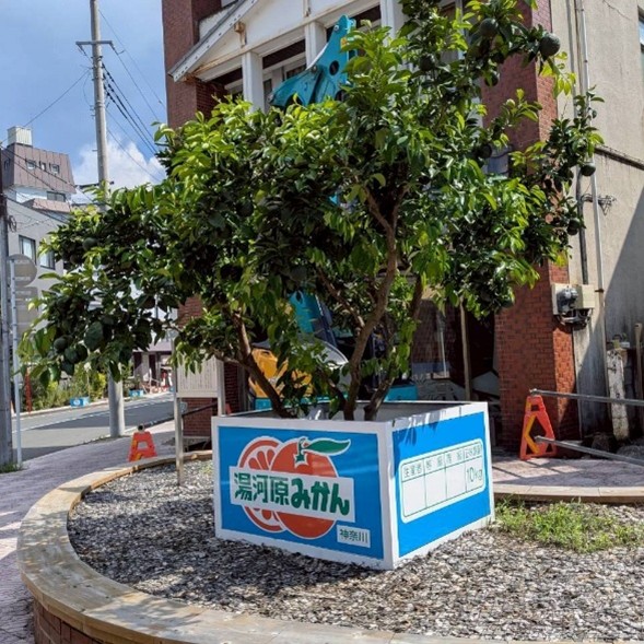 氷見ゼミ③