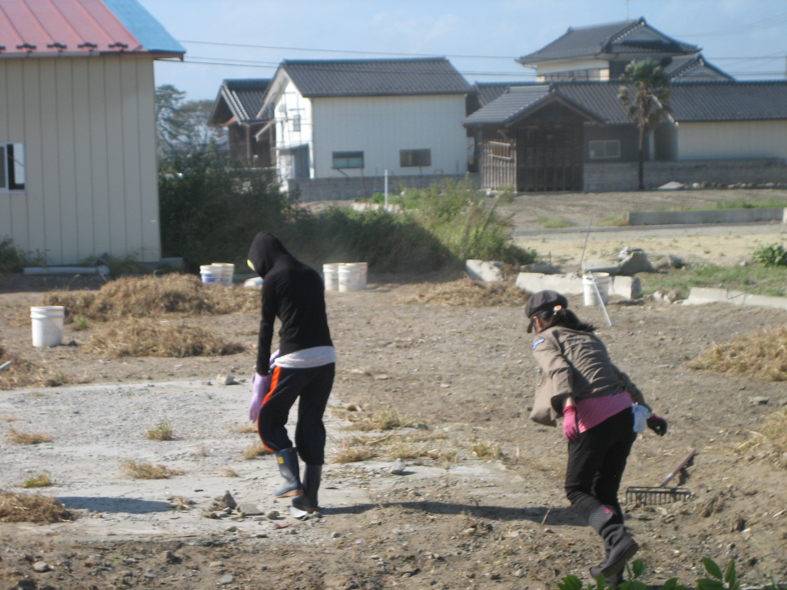 022 - 木村ひとみ