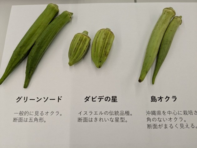 環境6