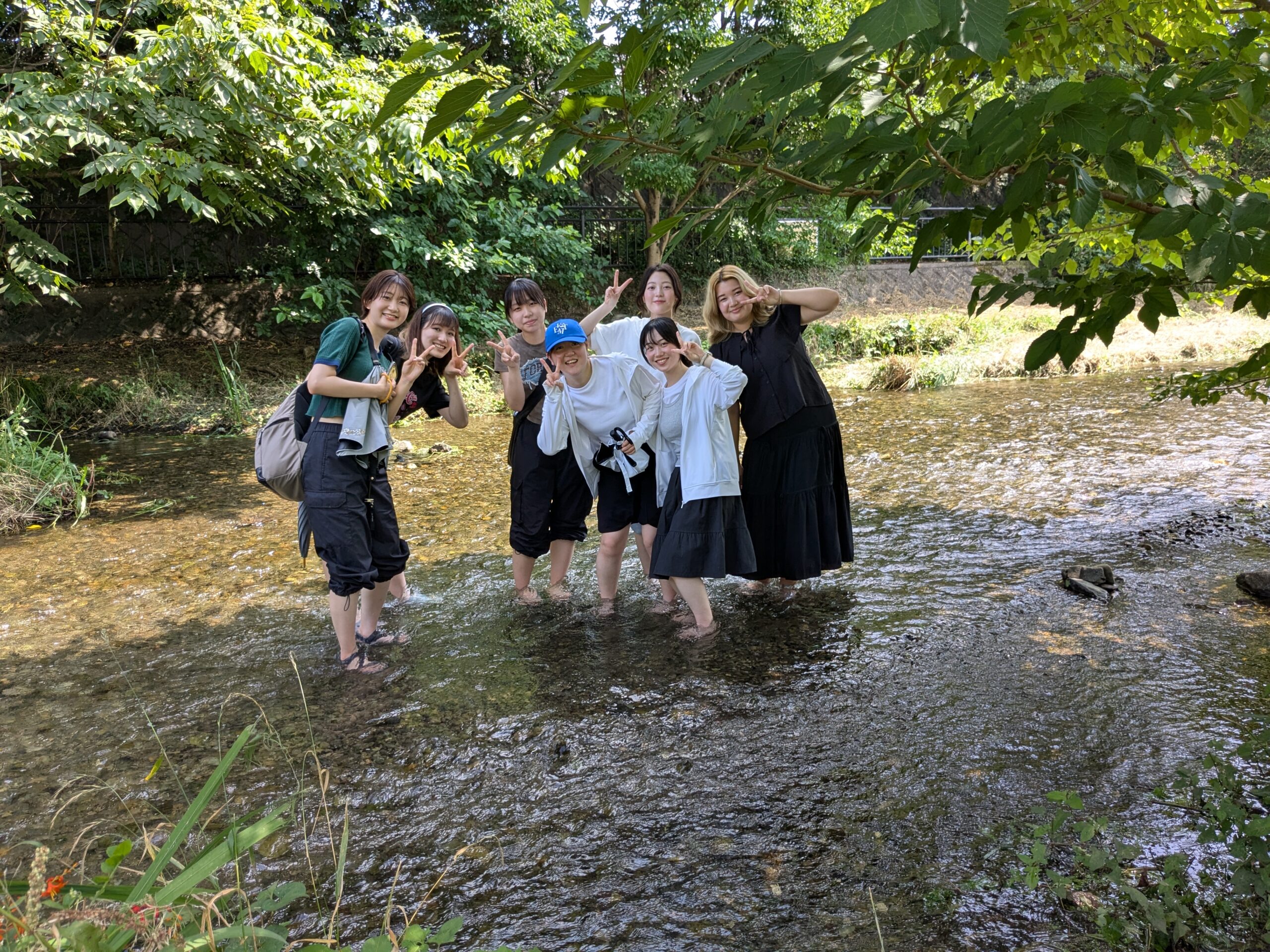 PXL_20250703_045305941